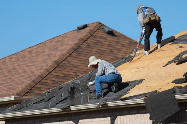 Best Roof Maintenance and Cleaning  in USA